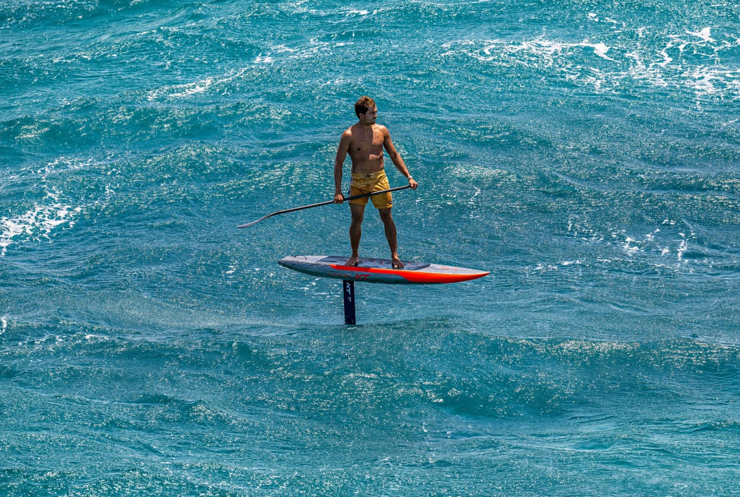 Ginxu Dragonfly 3
Carbon