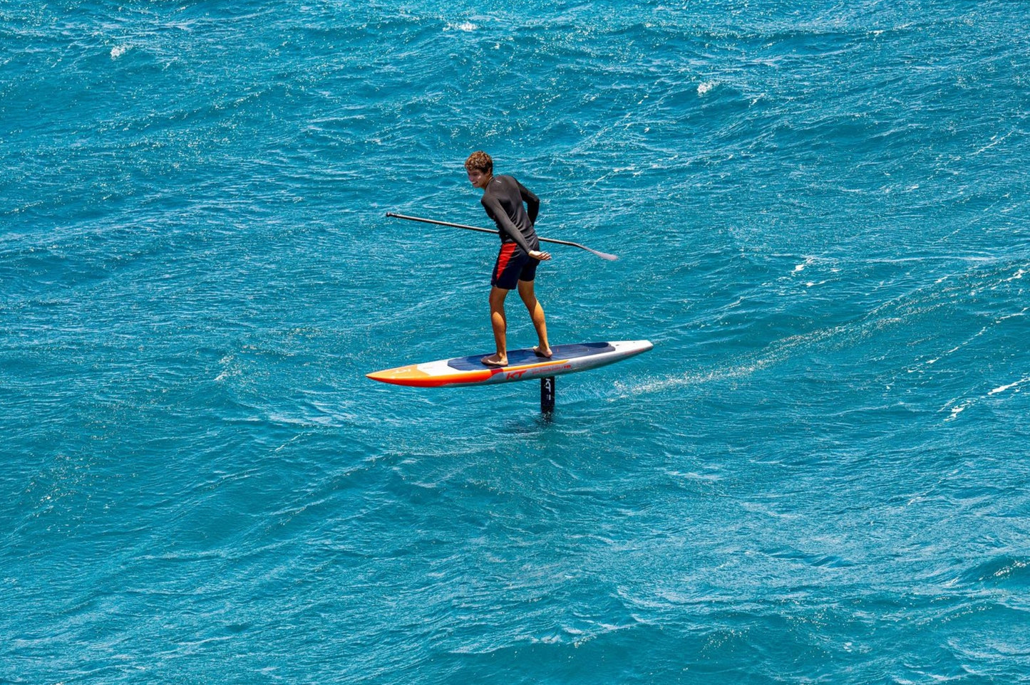 Ginxu Dragonfly Crossing 2
Pro Carbon